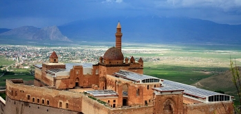 Iğdır Varis Tedavisi