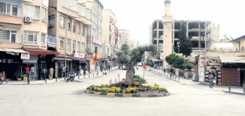 Kilis Varis Tedavisi