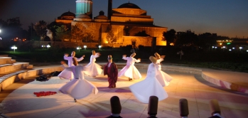 Konya Varis Tedavisi